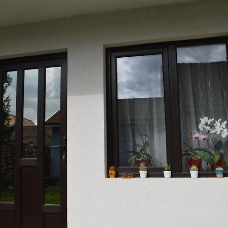 Havasi Gyopar Bed & Breakfast Praid Exterior photo